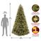 9ft. Pre-Lit Downswept Douglas® Fir Tree, Dual Color LED Lights